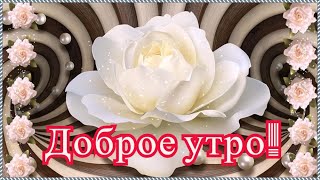 Доброе утро! Отличного дня! Классная музыкальная открытка с добрым утром. Чекалин.