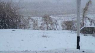 Snowstorm near Jarkent