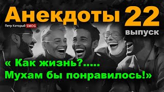 Анекдоты 22-й выпуск. " Как жизнь - мухам бы понравилось!"