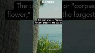 Fact for day - Botany #shorts #facts #botany