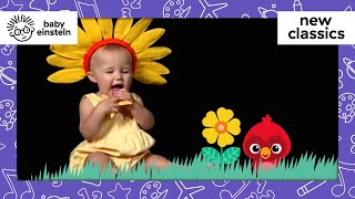 Splish Splash! | New Classics | Baby Einstein | Learning Show for Toddlers | Kids Cartoons