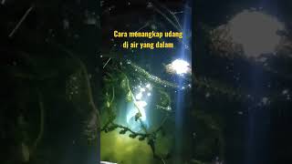 Cara menangkap udang di air yang dalam #shorts #sigondrongfishing #menangkapudang