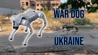 Robotic war dog for reconnaissance in Ukraine