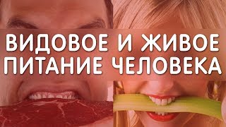 9 причин всех болезней! Кратко 2 часть. Еда и Жизнь. Фролов Ю. А.