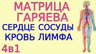 Матрица Гаряева сердечно-сосудистая система Обновлённая Медитация 4в1 по Программа оздоровления №2-2