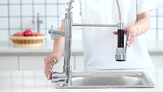 TTILL 2-in-1 Commercial Solid Brass Pull Down Sprayer Spring Kitchen Sink Faucet,, Grifos De Cocina