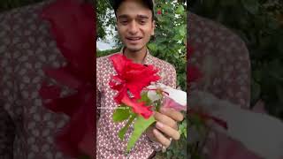 5 Rare And Different Varieties Of Hibiscus Plant 😱😱