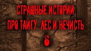 Страшные истории про тайгу, лес  и нечисть. 6 | Мистика Zvook. Олег Ли