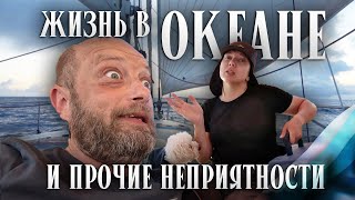 Снова в Атлантике  | Пропажа собаки | Опять косатки  |  Рыбацкие сети | Украли паспорт | s4e4