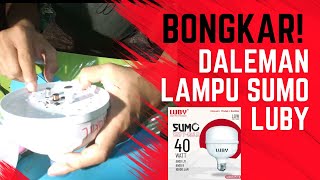 ternyata begini daleman lampu Luby Sumo