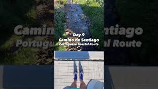 Day 9 Vlog Camino de Santiago Portuguese Coastal Route