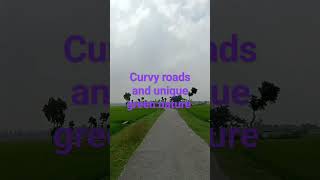 Curvy roads and unique green nature#youtube #youtubeshorts #shorts #shortsvideo #road