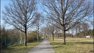 Welcoming Spring in Germany | Cooking under €10 || Sautéed Chicken Liver and Gizzards