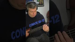 Baixo Condor Bx-12 ou XB-12? #bass #baixo #baixoeletrico