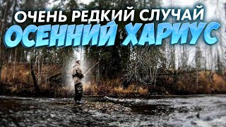 УНИКАЛЬНЫЙ СЛУЧАЙ.РЫБАЛКА.ОХОТА НА РЯБЧИКА.САПОГИ BAFFIN.