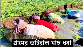 Village fishermen catching many fish in the fields. Amazing new viral fishing videos 2024.