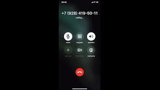 iPhone 11 Pro incoming call (screen video)