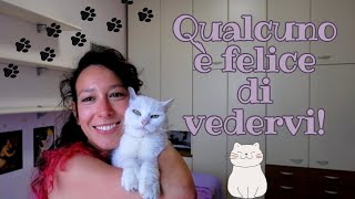 Perché ho smesso di fare video? Italian vlog with subs