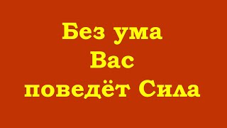 Без ума Вас поведёт Сила – самым лучшим способом