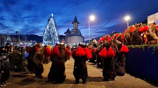 The best bears dance ❤️ #amazing #wow #love #beautiful #bacau #viral #dofteana #traditional