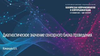 Диагностическое значение сенсорного блока проведения. Команцев В.Н.