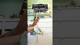 My youngest bro makes a dragon puppet #dragonpuppets #dragonfamily #dragon #dragonarmy #paperdragon