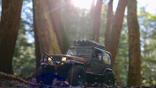 Tamiya Rc; The Peaceful Wooded Trail pt1