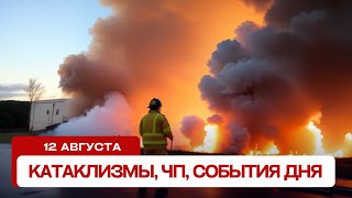 Новости сегодня 12.08.2024. Катаклизмы за день, ЧП, события дня