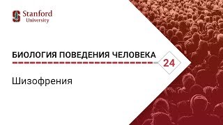 Биология поведения человека: Лекция #24. Шизофрения [Роберт Сапольски, 2010. Стэнфорд]