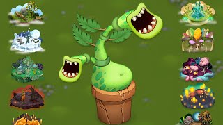 Potbelly - All Monster Sounds & Animations (My Singing Monsters)