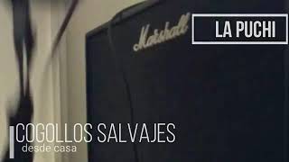 Los Cogollos Salvajes - La Puchi