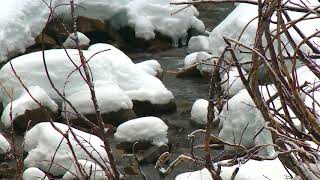 Significant Sierra Snowfall