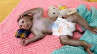 So sad! baby monkey Tina needs more attention from her mother.