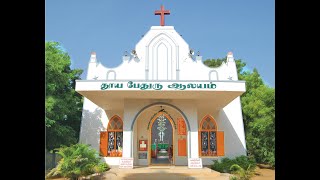 36வது ஆலயப் பிரதிஷ்டை பண்டிகை ஆராதனை | 29-Jun-2022 | St. Peter's Church N.G.O 'B' Colony Tirunelveli