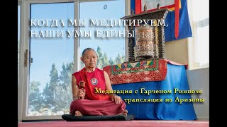 Сущностные наставления по медитации. Кьябдже Гарчен Ринпоче