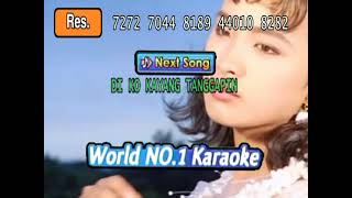 Sway SUPERMIDI Karaoke C10 Pro Vol.101