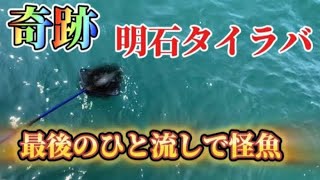 【明石タイラバ】最後の最後のひと流しで怪魚が釣れた