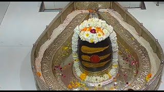 🔴 Live Darshan- mahakaaleshwar dham Temple Amritsar