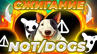 ВАЖНО! NOT DOGS МАСОВОЕ СЖИГАНИЕ! СКОЛЬКО БУДЕТ СОЖЕННО? РОСТ ЦЕНЫ NOT/DOGS! ПРОГНОЗ ЦЕНЫ NOT DOGS!