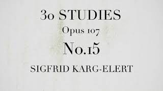 30 STUDIES Opus 107 FOR FLUTE No.15/KARG-ELERT