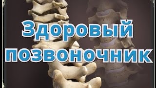 Йога точного выравнивания | Мышечный корсет