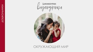 Электроприборы | Дошкольники | Окружающий мир #46 | Инфоурок