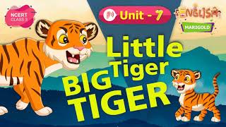 LITTLE TIGER, BIG TIGER | Marigold Unit 7 | NCERT Class 3 [Listen]