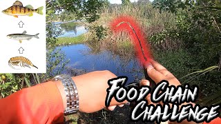 FOOD CHAIN FISHING CHALLENGE in a HIDDEN PUDDLE