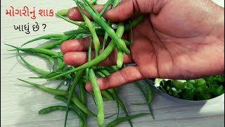 મોગરી નું સ્વાદિષ્ટ શાક | Mooli ki Mogri ki Sabzi | Radish Pods Recipe