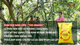 DÙNG PHÂN BÓN HỮU CƠ THD NHÀ VƯỜN TRỒNG BƯỞI BỘI THU