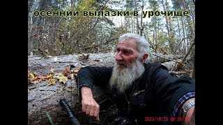 Осеннии вылазки в урочище