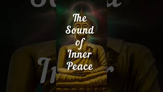 The Sound Of Inner Peace | Healing Frequency Music 528 hz.#shorts #shortsyoutube  #relaxationmusic