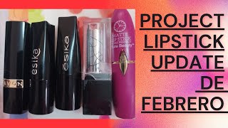 Project Lipstick Avance de Febrero/#proyecto #projectpan #projectlipstick #update #labiales #project