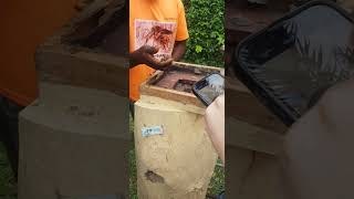 Harvesting of bee  propolis #gold #healthy #shorts